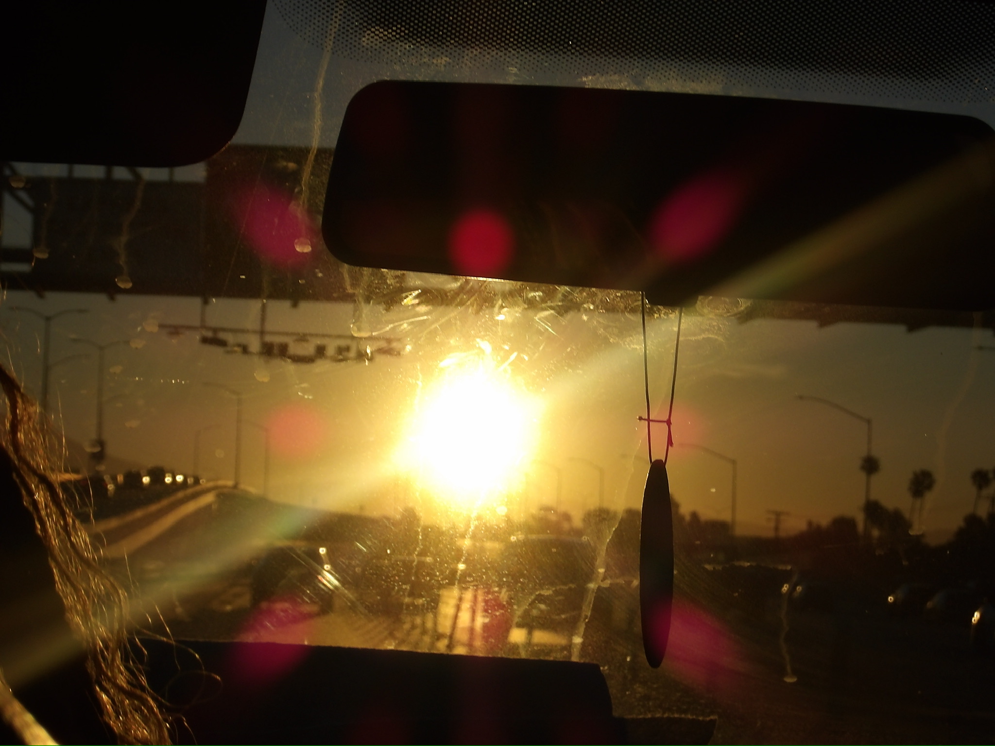 CALIFORNIA SPRING 26 photo